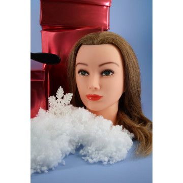 Starter Pack – Bun Discovery