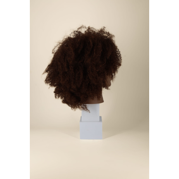 LENNY afro mannequin head