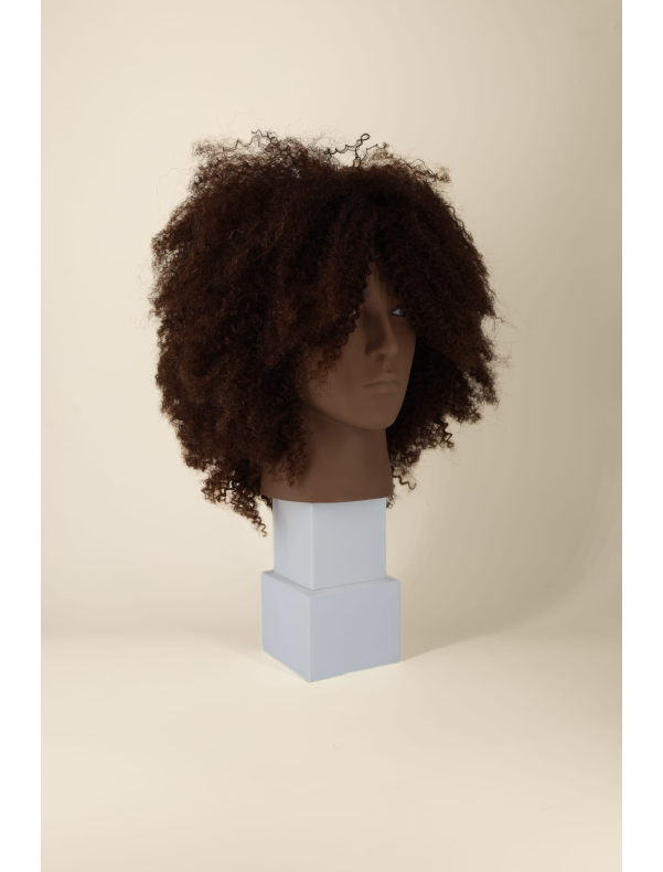 LENNY afro mannequin head