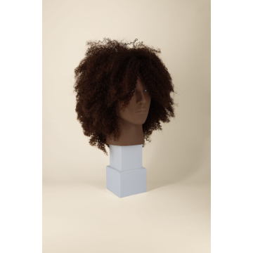 LENNY afro mannequin head
