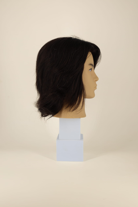LUDO - cut men mannequin head