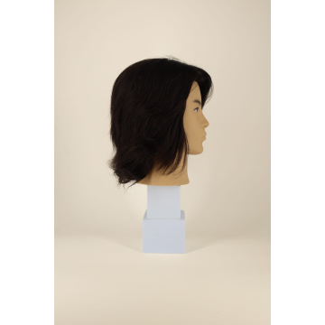 LUDO - cut men mannequin head