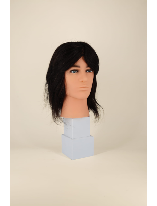 ALEX - Cut