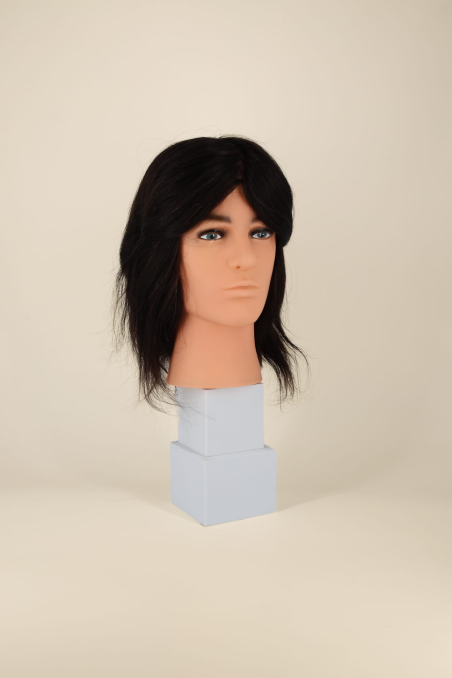 ALEX - Cut