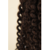 ALMA - Curly