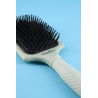 LA CLASSIQUE