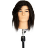 ALEX men's professional mannequin head