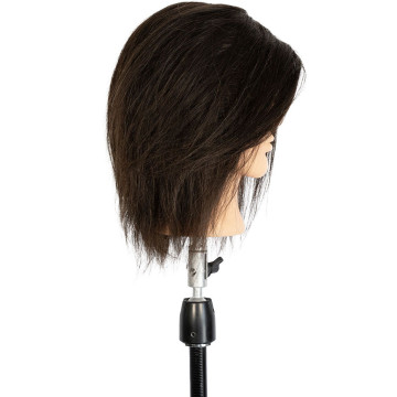 ALEX men's professional mannequin head